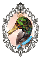 Wendelins Kaffe Royal – logotyp för signaturkaffet